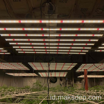 Industri Profesional LED Grow Lights